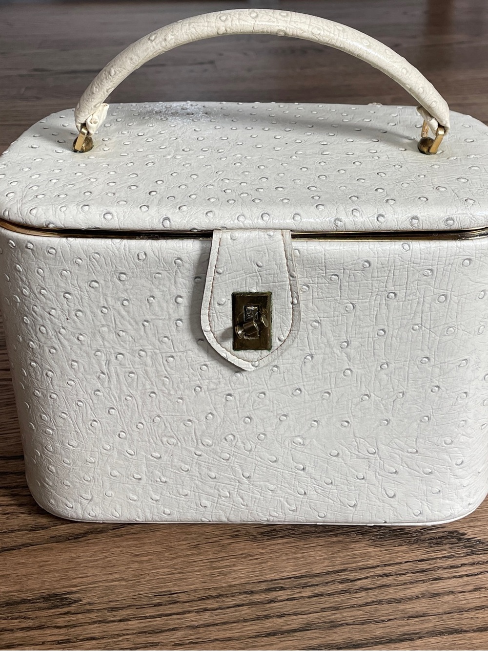 Vintage Celebrity New York Train Case Ostrich Embossed